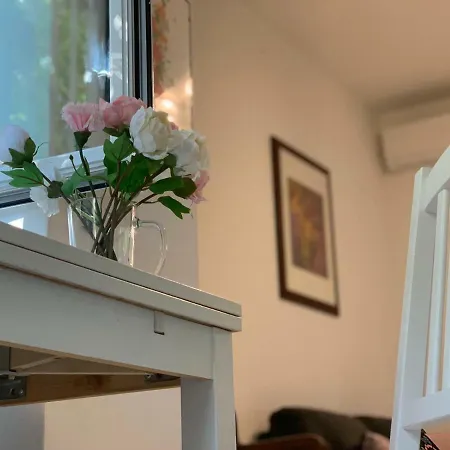 Flowers In Apartment