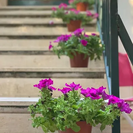 Flowers In *